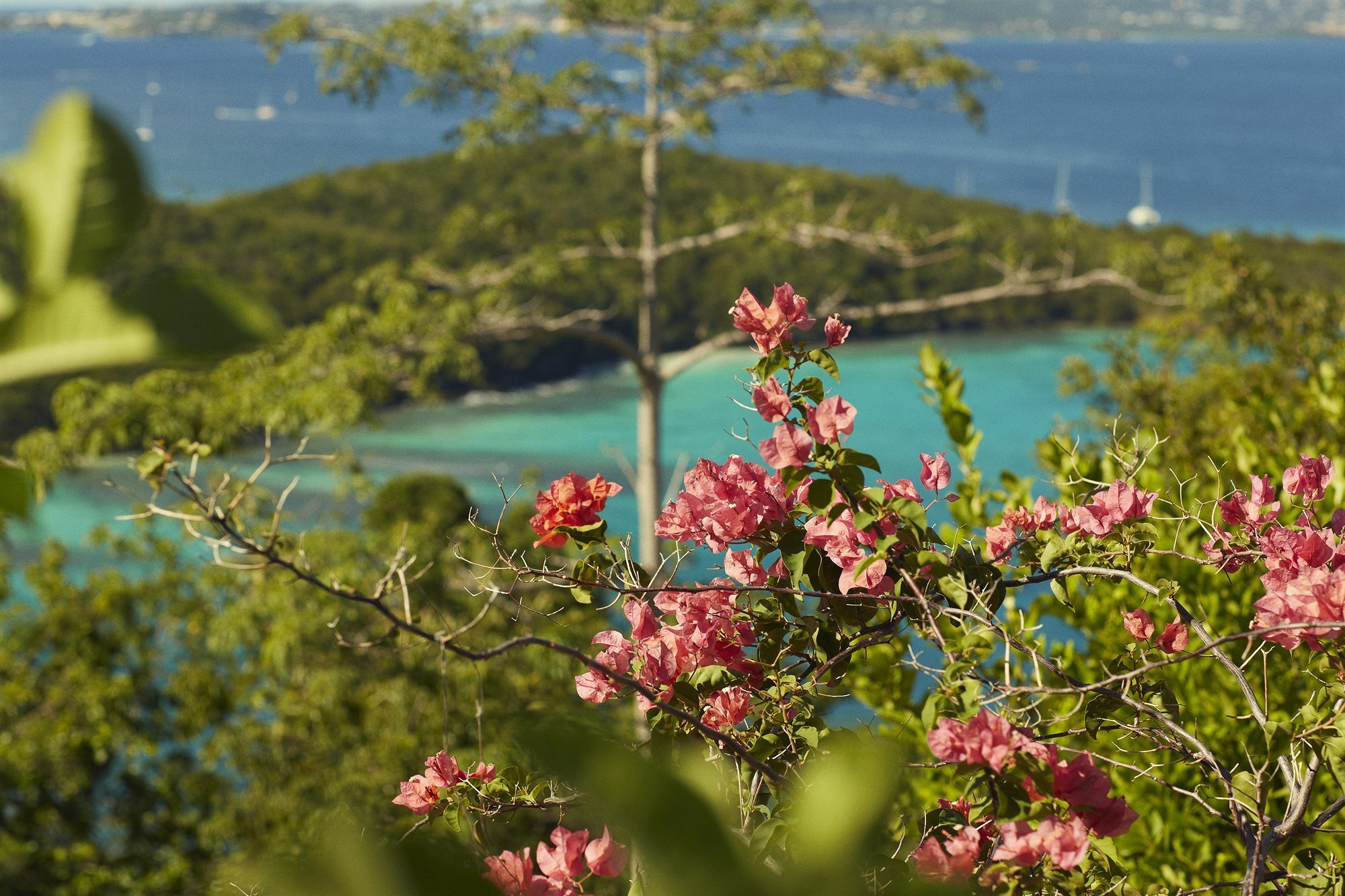 Caneel Bay Resort Cruz Bay Kültér fotó